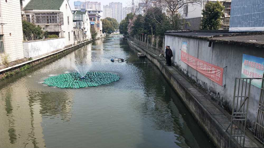 图片01.jpg